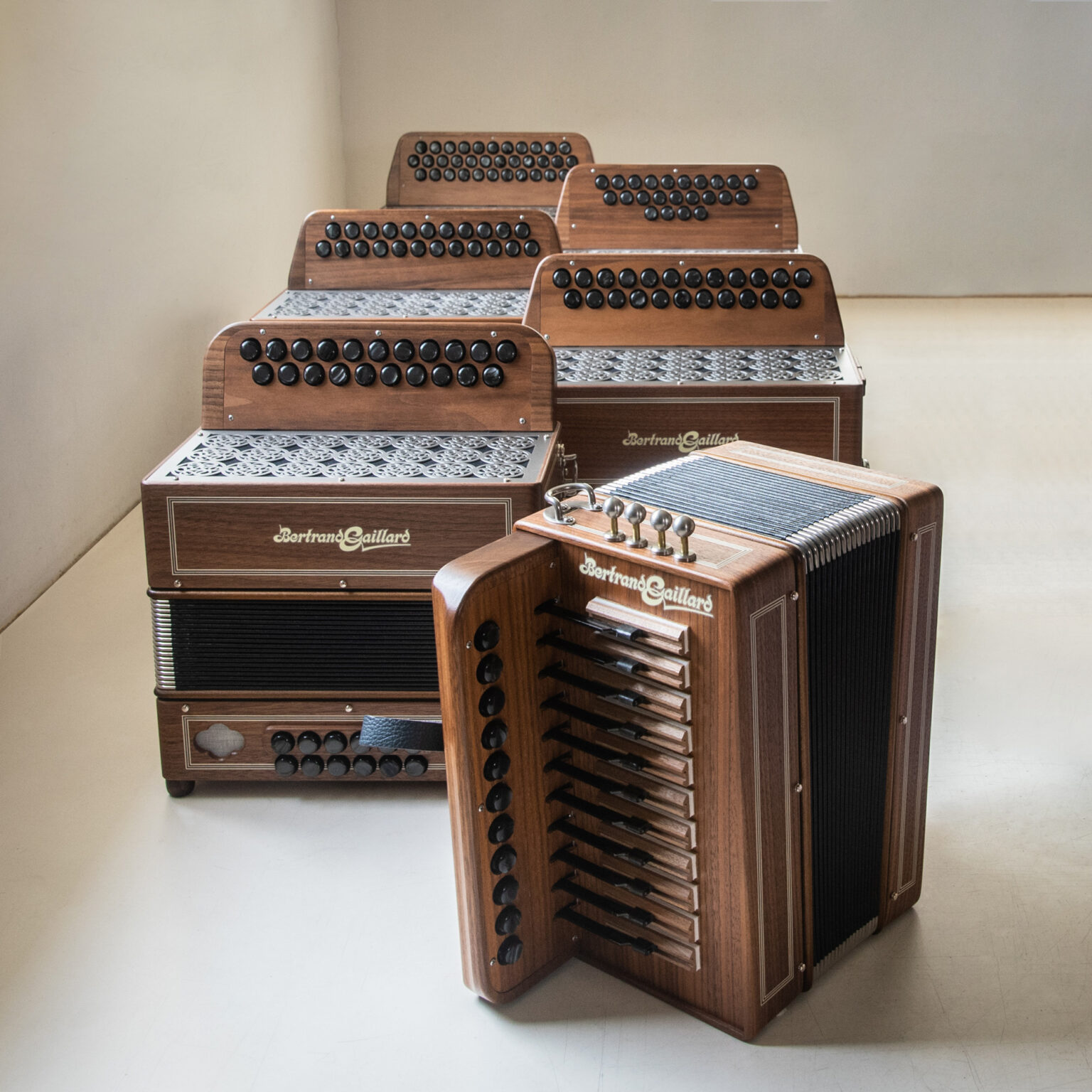 My Models - Bertrand Gaillard Diatonic And Chromatic Accordions